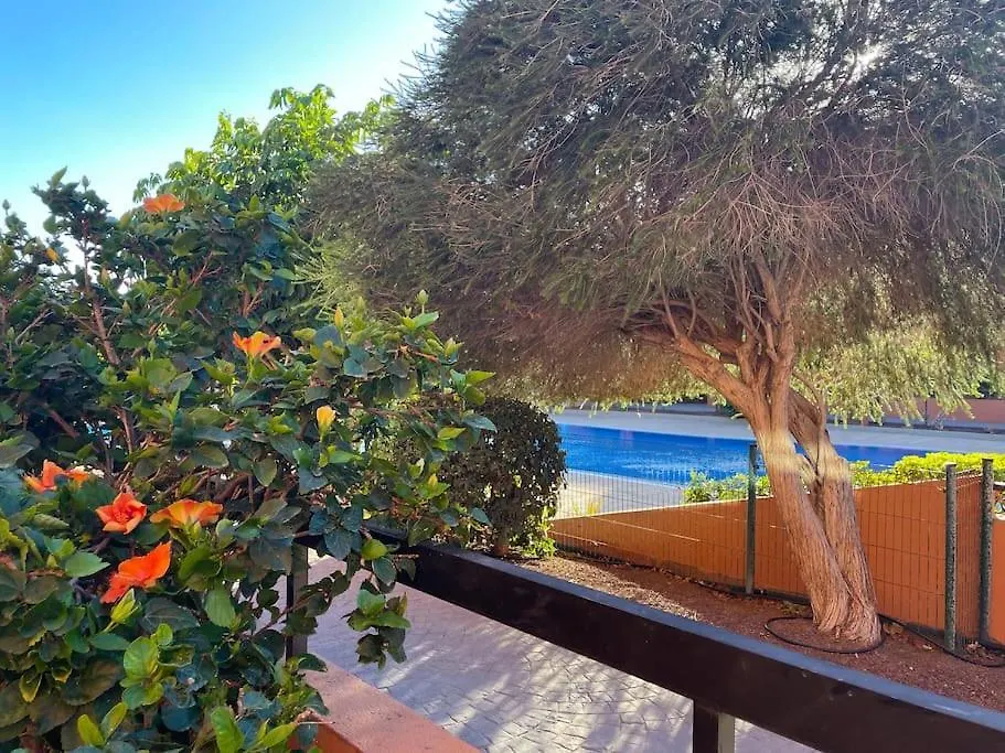 Cozy Apartment With Large Terrace Next To The Pool La Tejita